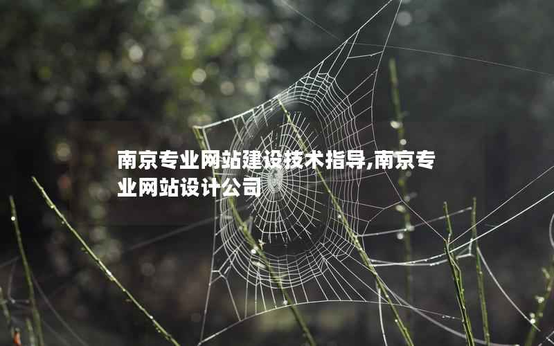 南京专业网站建设技术指导,南京专业网站设计公司