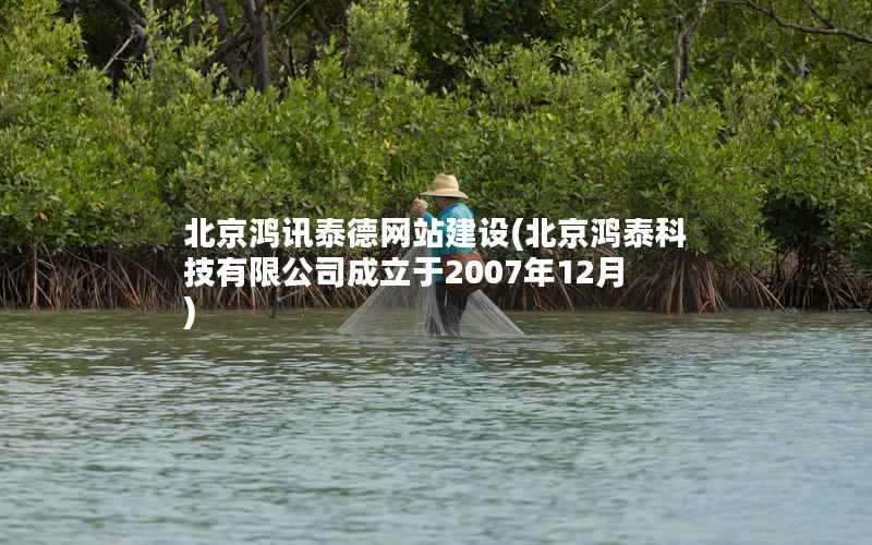 北京鸿讯泰德网站建设(北京鸿泰科技有限公司成立于2007年12月)