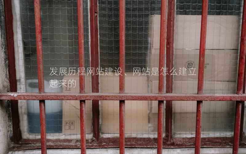 发展历程网站建设、网站是怎么建立起来的