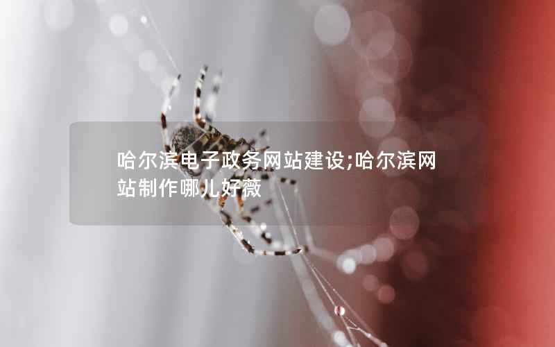 哈尔滨电子政务网站建设;哈尔滨网站制作哪儿好薇