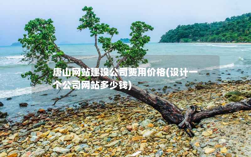 唐山网站建设公司费用价格(设计一个公司网站多少钱)