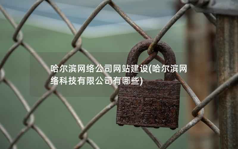 哈尔滨网络公司网站建设(哈尔滨网络科技有限公司有哪些)