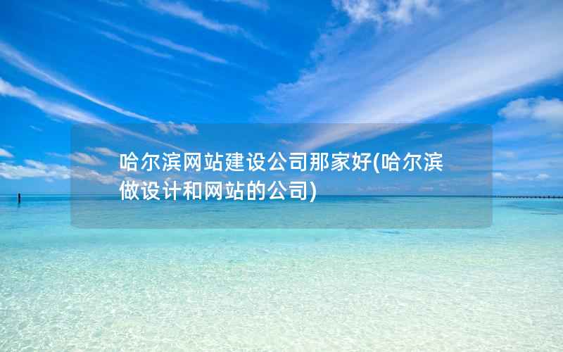 哈尔滨网站建设公司那家好(哈尔滨做设计和网站的公司)