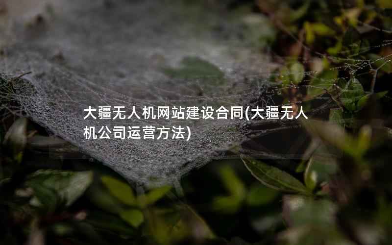 大疆无人机网站建设合同(大疆无人机公司运营方法)