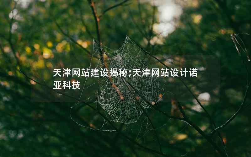 天津网站建设揭秘;天津网站设计诺亚科技