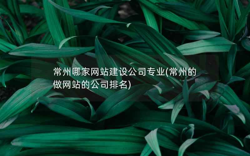 常州哪家网站建设公司专业(常州的做网站的公司排名)