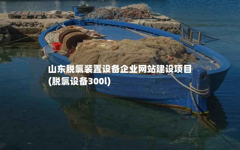 山东脱氯装置设备企业网站建设项目(脱氯设备300l)