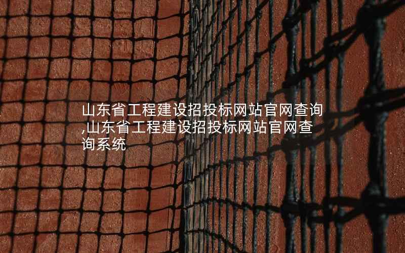 山东省工程建设招投标网站官网查询,山东省工程建设招投标网站官网查询系统