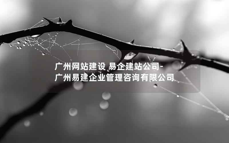 广州网站建设 易企建站公司-广州易建企业管理咨询有限公司