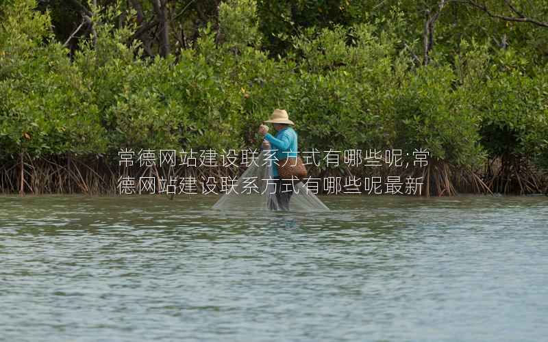 常德网站建设联系方式有哪些呢;常德网站建设联系方式有哪些呢最新