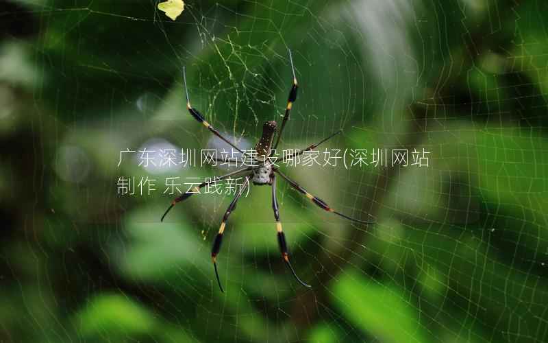 广东深圳网站建设哪家好(深圳网站制作 乐云践新)