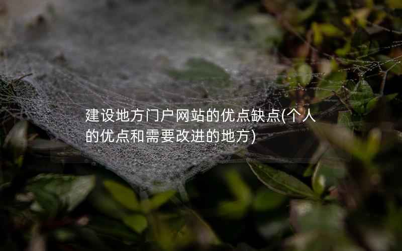 建设地方门户网站的优点缺点(个人的优点和需要改进的地方)