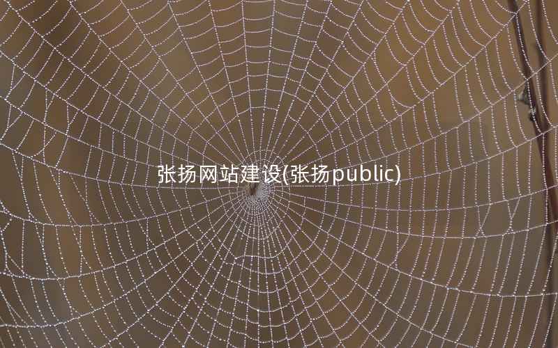 张扬网站建设(张扬public)