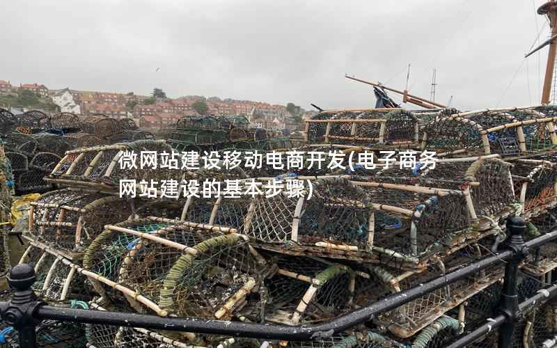 微网站建设移动电商开发(电子商务网站建设的基本步骤)