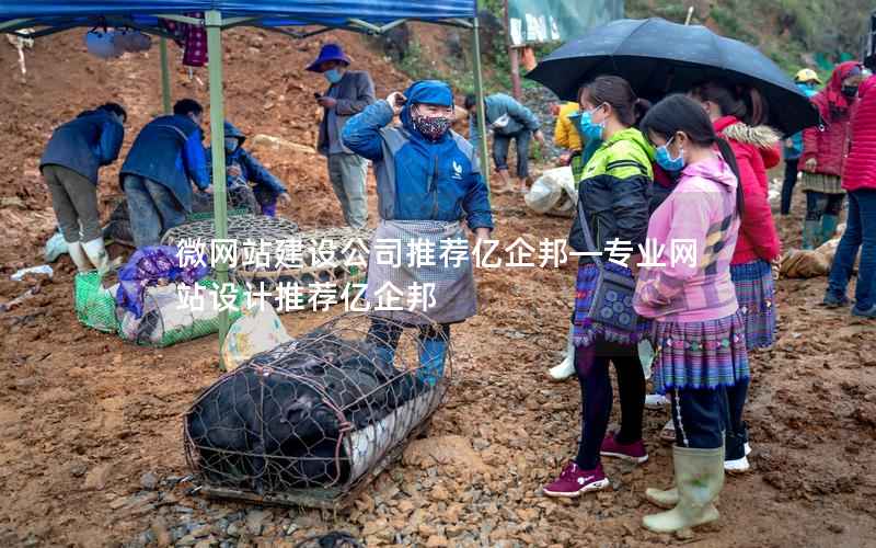 微网站建设公司推荐亿企邦—专业网站设计推荐亿企邦