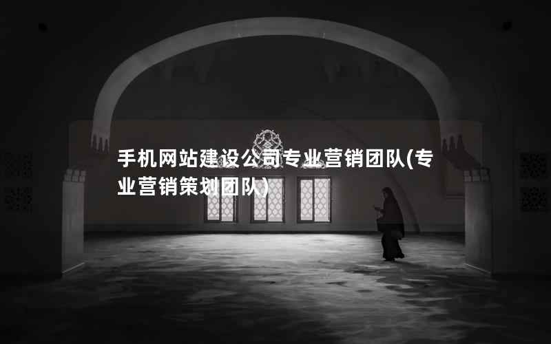 手机网站建设公司专业营销团队(专业营销策划团队)