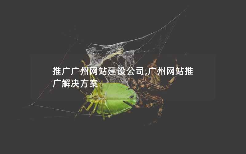 推广广州网站建设公司,广州网站推广解决方案