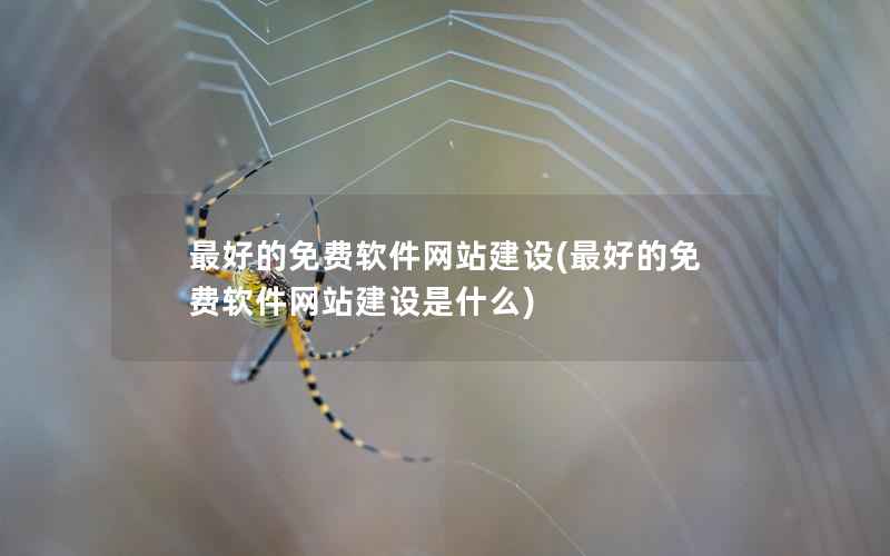 最好的免费软件网站建设(最好的免费软件网站建设是什么)