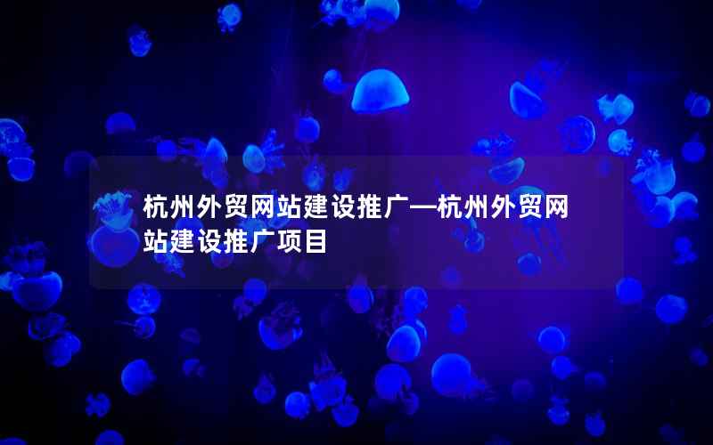 杭州外贸网站建设推广—杭州外贸网站建设推广项目