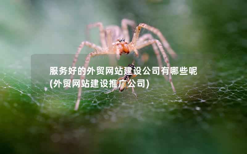 服务好的外贸网站建设公司有哪些呢(外贸网站建设推广公司)