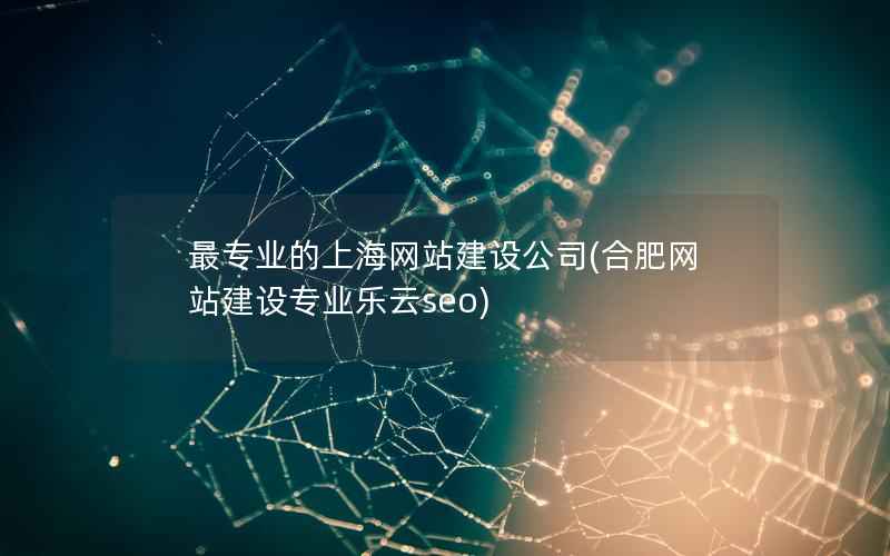 最专业的上海网站建设公司(合肥网站建设专业乐云seo)