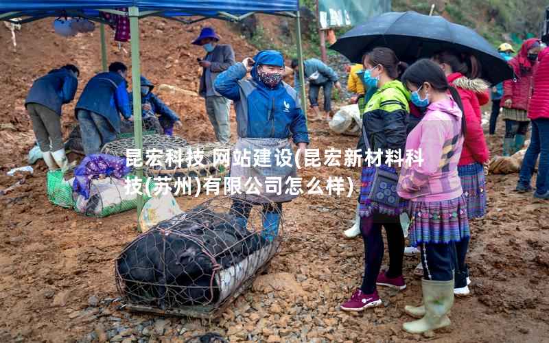 昆宏科技 网站建设(昆宏新材料科技(苏州)有限公司怎么样)