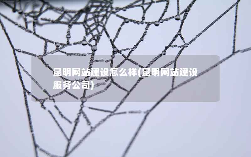 昆明网站建设怎么样(昆明网站建设服务公司)