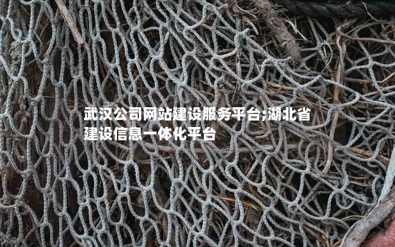 武汉公司网站建设服务平台;湖北省建设信息一体化平台