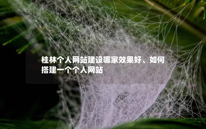 桂林个人网站建设哪家效果好、如何搭建一个个人网站