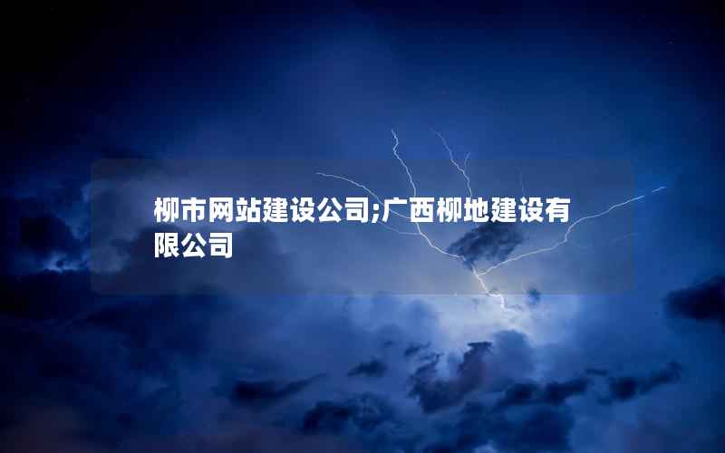 柳市网站建设公司;广西柳地建设有限公司