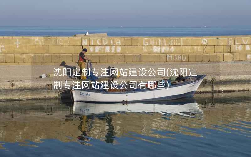 沈阳定制专注网站建设公司(沈阳定制专注网站建设公司有哪些)