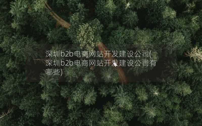 深圳b2b电商网站开发建设公司(深圳b2b电商网站开发建设公司有哪些)