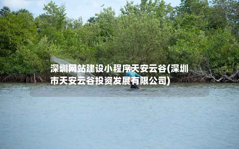 深圳网站建设小程序天安云谷(深圳市天安云谷投资发展有限公司)