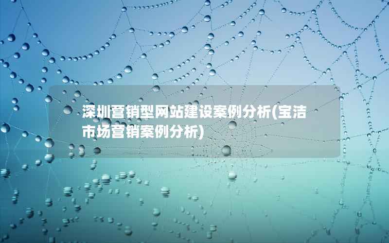 深圳营销型网站建设案例分析(宝洁市场营销案例分析)