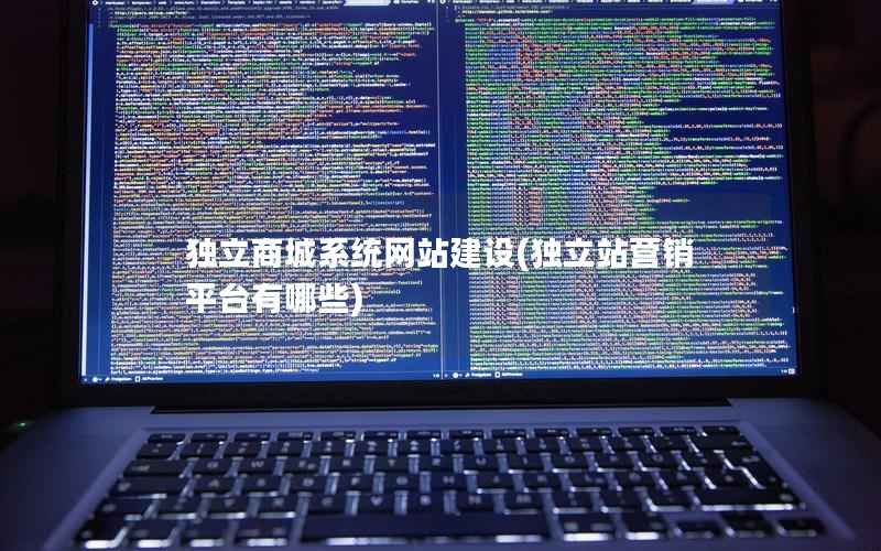 独立商城系统网站建设(独立站营销平台有哪些)