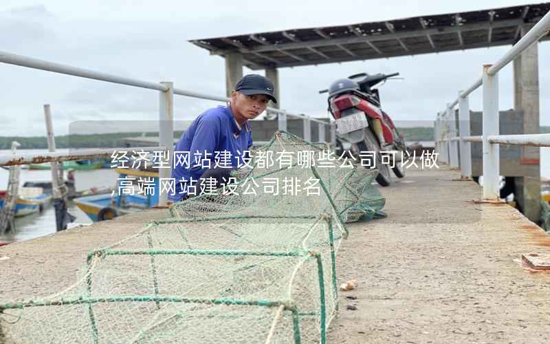 经济型网站建设都有哪些公司可以做,高端网站建设公司排名