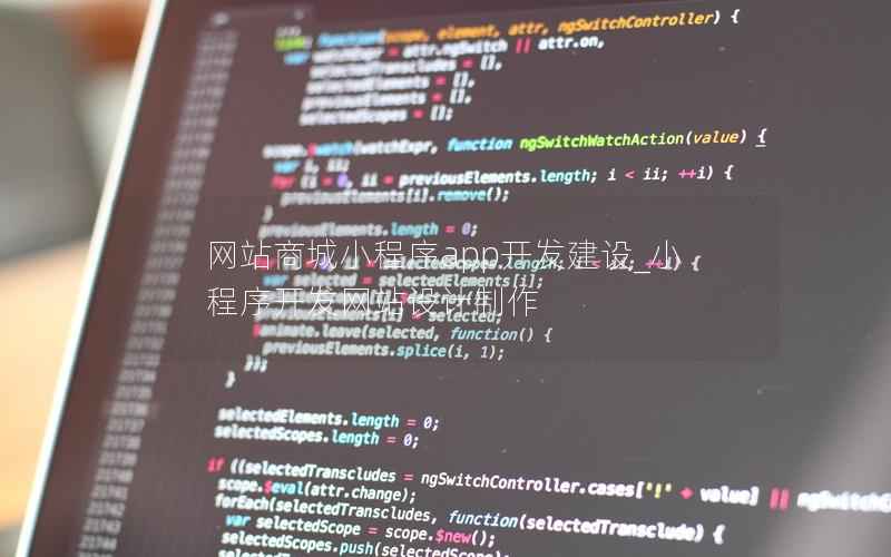 网站商城小程序app开发建设_小程序开发网站设计制作