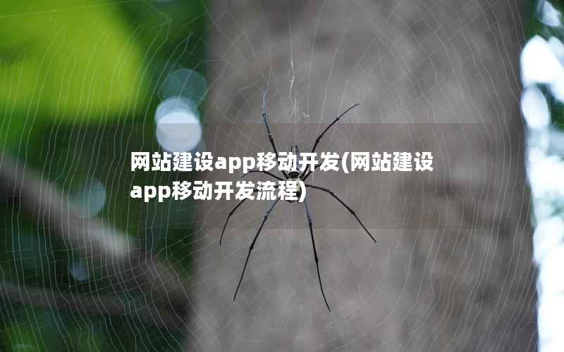 网站建设app移动开发(网站建设app移动开发流程)