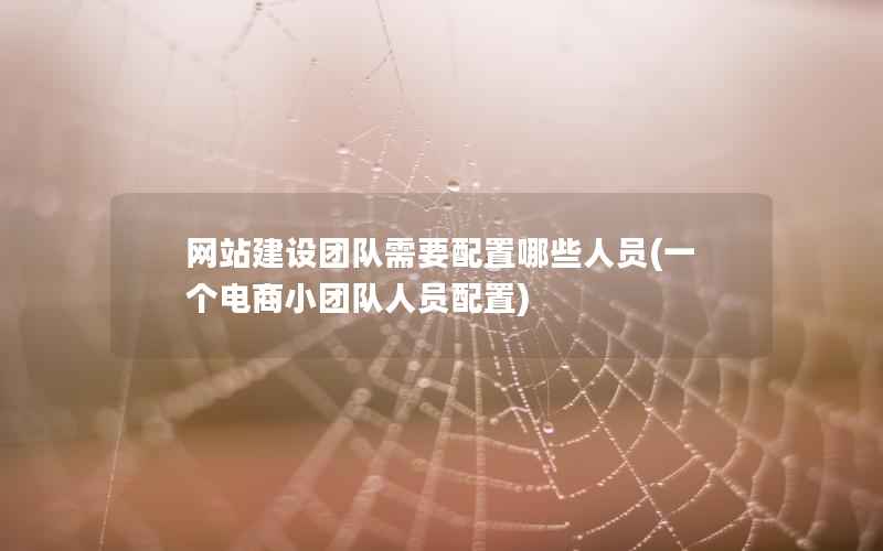 网站建设团队需要配置哪些人员(一个电商小团队人员配置)