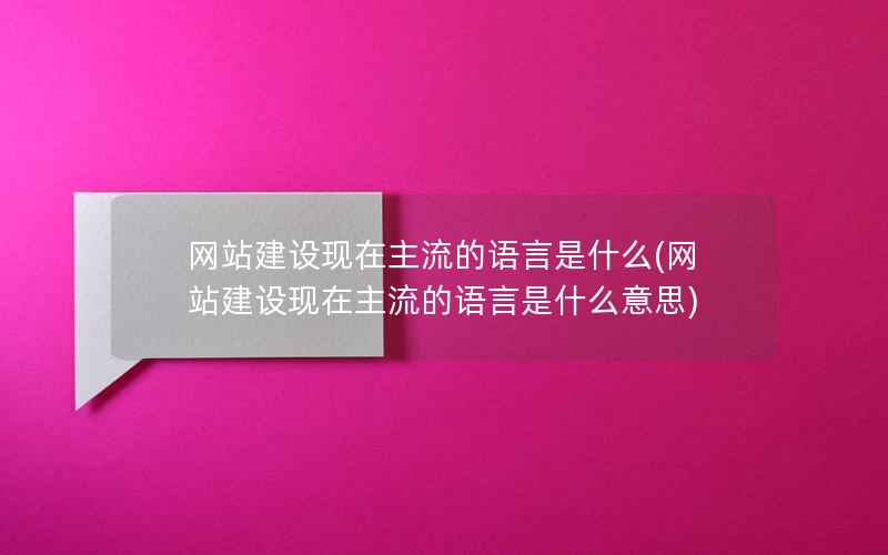 网站建设现在主流的语言是什么(网站建设现在主流的语言是什么意思)