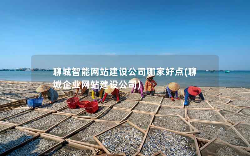 聊城智能网站建设公司哪家好点(聊城企业网站建设公司)