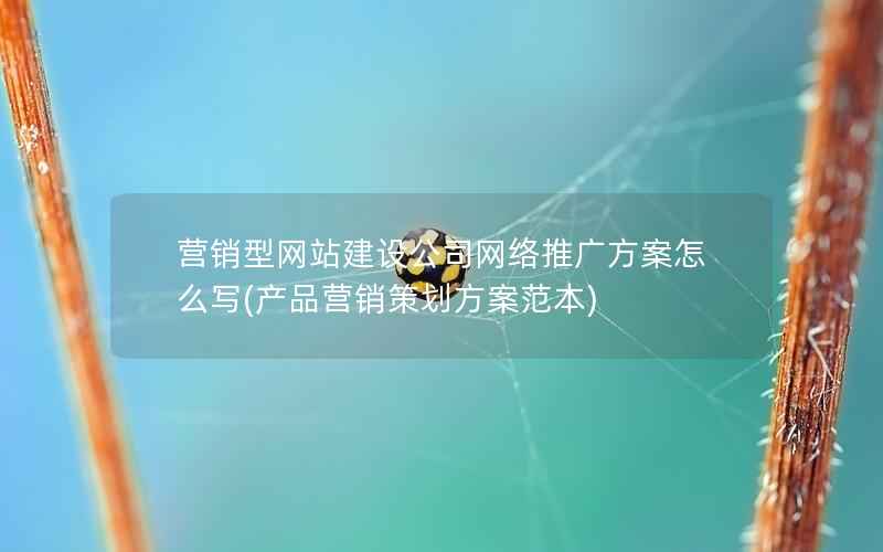 营销型网站建设公司网络推广方案怎么写(产品营销策划方案范本)