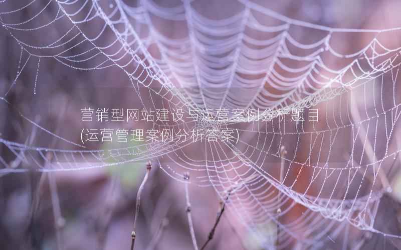 营销型网站建设与运营案例分析题目(运营管理案例分析答案)