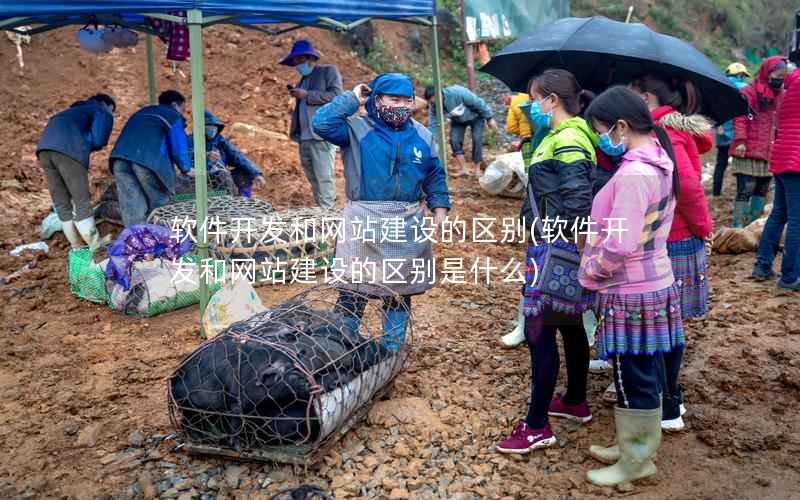 软件开发和网站建设的区别(软件开发和网站建设的区别是什么)