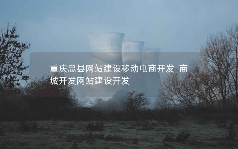 重庆忠县网站建设移动电商开发_商城开发网站建设开发