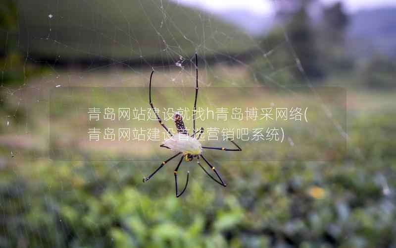 青岛网站建设就找h青岛博采网络(青岛网站建设首选营销吧系统)