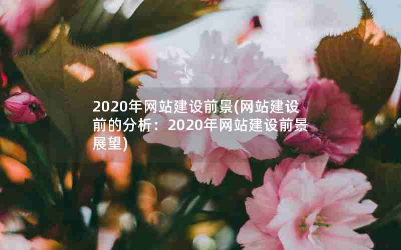 2020年网站建设前景(网站建设前的分析：2020年网站建设前景展望)