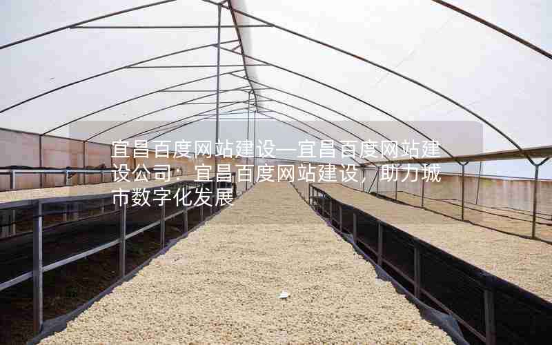 宜昌百度网站建设—宜昌百度网站建设公司：宜昌百度网站建设，助力城市数字化发展