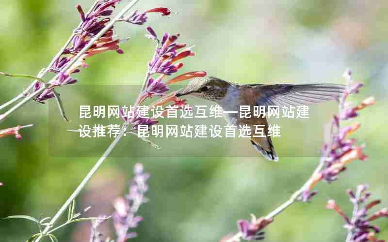 昆明网站建设首选互维—昆明网站建设推荐：昆明网站建设首选互维