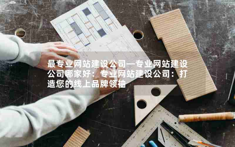 最专业网站建设公司—专业网站建设公司哪家好：专业网站建设公司：打造您的线上品牌领袖